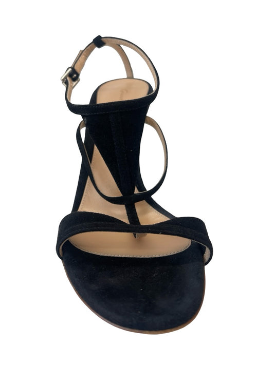 Gianvito Rossi Black Suede Clear Block Heel. Size: 38.5