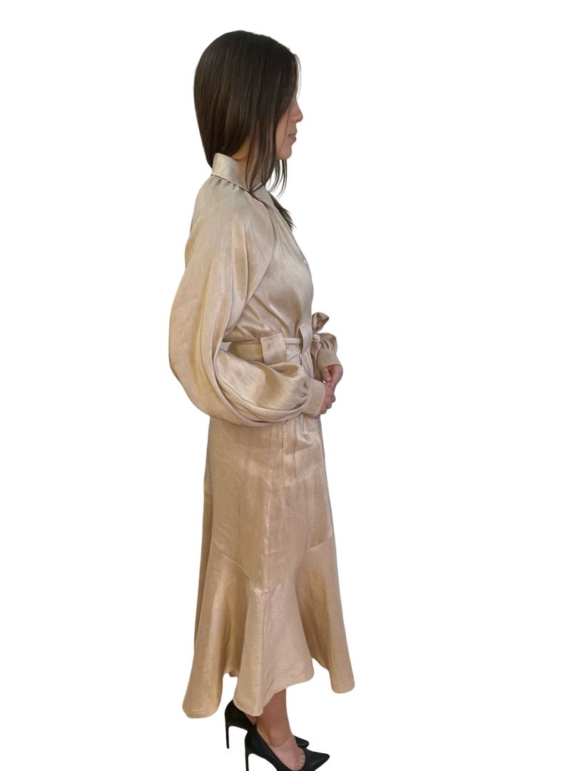 Aje Beige Silk & Linen Blend Flared Button Dress. Size: 8