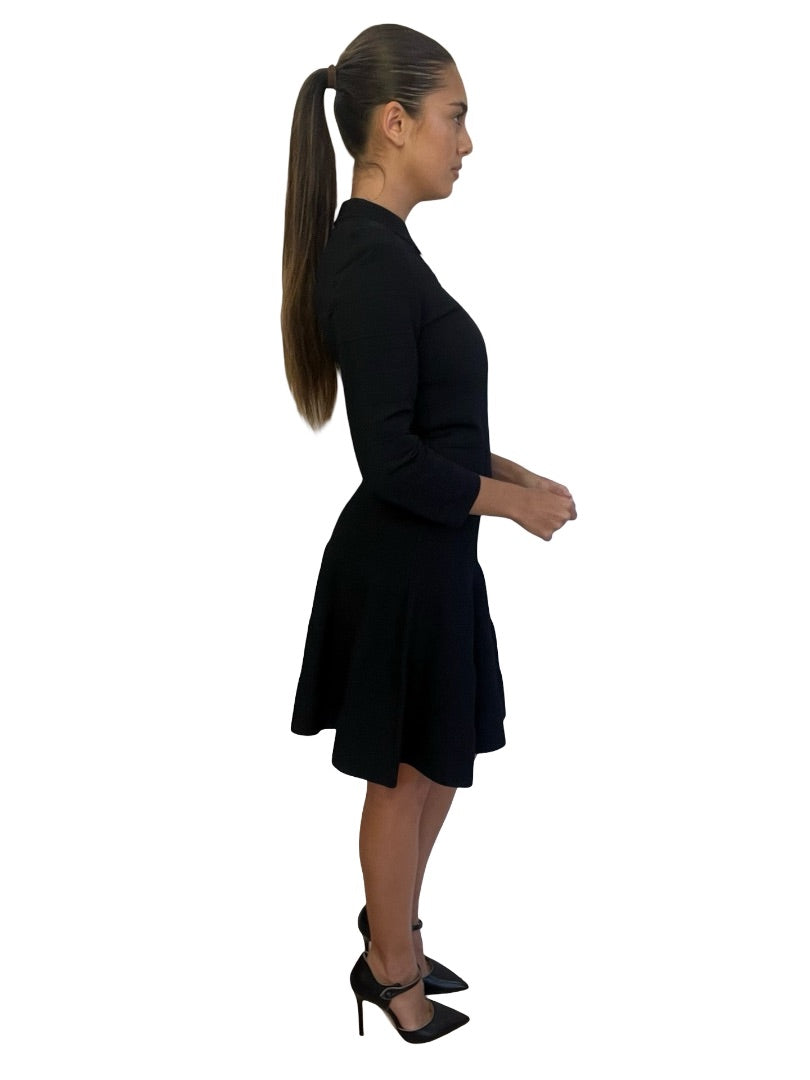 Scanlan Theodore Black A Line Long Sleeve Knit Dress. Size: M