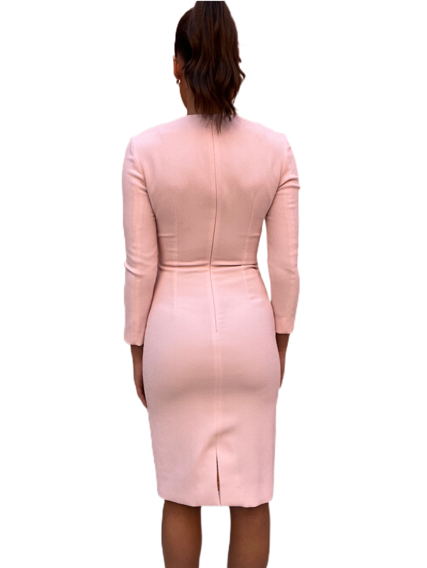 Emilia Wickstead Pink Dress. Size: 6