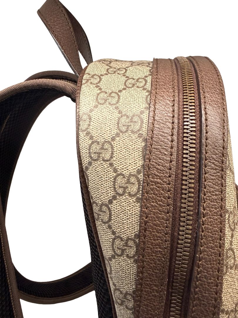 Gucci 'Ophidia GG Supreme' Small Backpack.