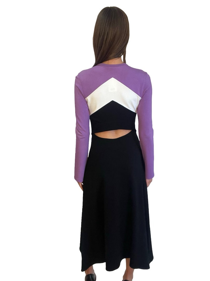 Bassike Purple / Black/White Long Sleeve Maxi Pannel Dress. Size: 0