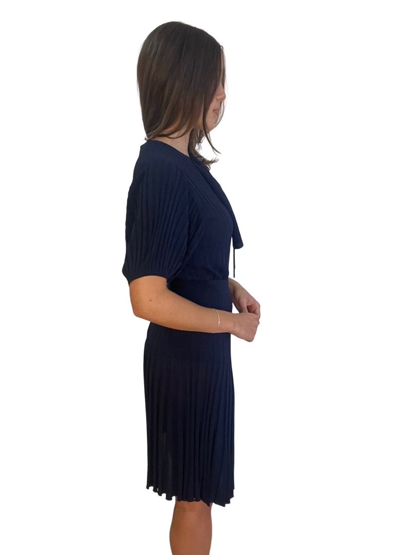 Scanlan Theodore Navy Pleated Top/Skirt Set. Size: S