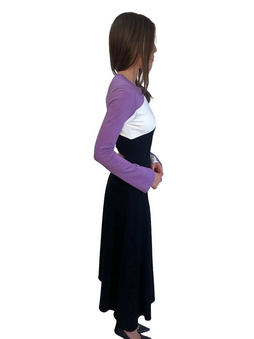 Bassike Purple / Black/White Long Sleeve Maxi Pannel Dress. Size: 0